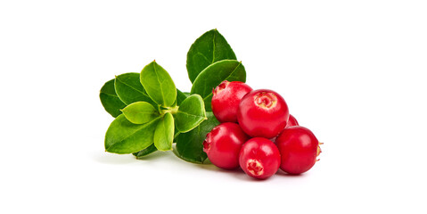 Fresh wild lingonberry berries with leaves, isolated on white background.