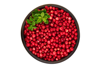 Lingonberries in a pot, isolated on white background.