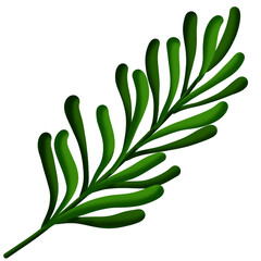 leaf