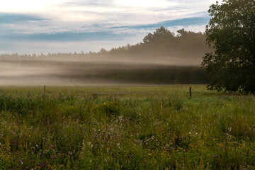 Foggy Morning in the Countryside in September