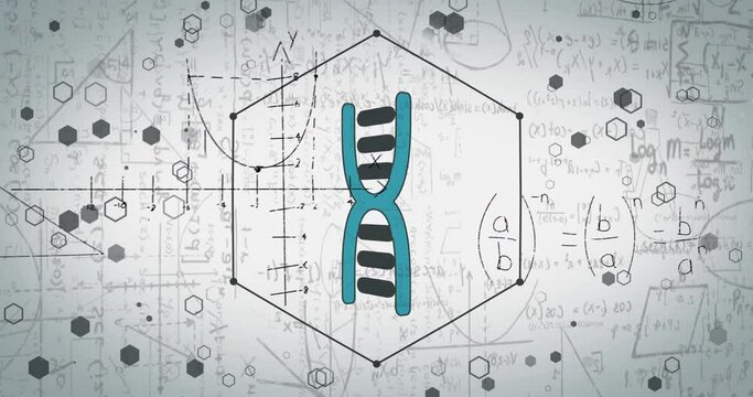 Animation of mathematical equations and dna strand on white background - Powered by Adobe