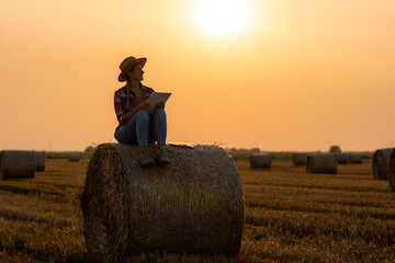 Naklejka na ściany i meble Female farmer inspects lush straw fields, taking a break, she sits on a bale, enjoying peaceful sunset.