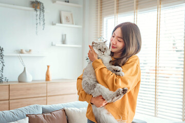 Happy young asian woman hugging cute grey persian cat on couch in living room at home, Adorable domestic pet concept. - Powered by Adobe