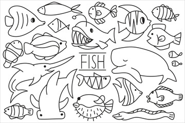 hand drawn set of fish sea animal doodle icons. kind of fish