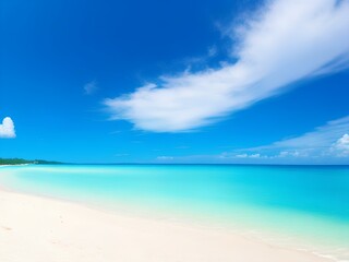 Obraz premium beach with sunny sky