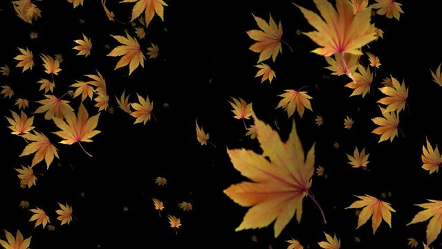 Our slow motion animation is a visual symphony of fall's beauty, where leaves create a breathtaking canvas of colors.