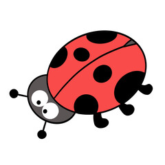 Cute ladybug cartoon