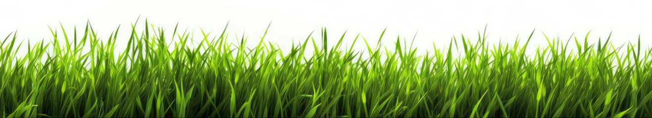 Fototapeta na wymiar Seamless image of fresh green grass