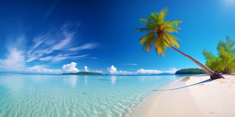 Fototapeta na wymiar lonely dream island with palm trees