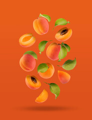 Bright orange apricot, pink side, green leaves as flow fly or levitate as art composition. Whole,...