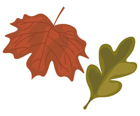 Naklejka premium leaf 