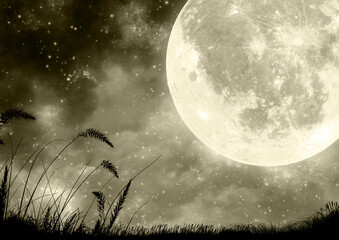 Fototapeta na wymiar セピア色の満月の夜の草原