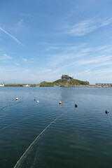 漁港から見るウミネコの繁殖地である蕪島