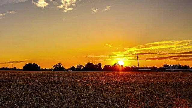 An awe-inspiring sunrise graced the sky above rural fields, transforming it into a vivid hue of gold. This extraordinary scene unfolded in a time-lapse sequence, portraying an enchanting panorama.
