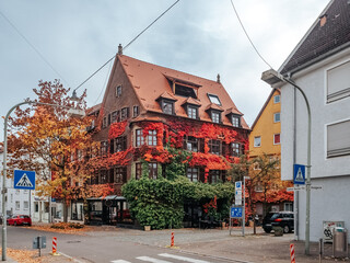 Beautiful house in colourful autumn ivy in Ulm (Germany)