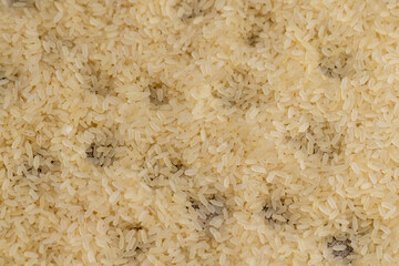 a large amount of uncooked fresh polished rice