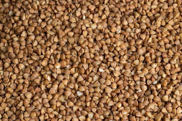 A large amount of roasted buckwheat harvest