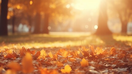 orange autumn maple leaves with soft focus at gold sunset in the forest, autumn background, Generative AI