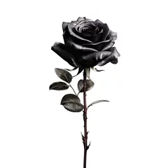 Fotobehang Black rose realistic illustration - Generative AI. © Mariia