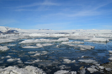 Ice Melt with Icebergs in a Lagoon in Iceland
