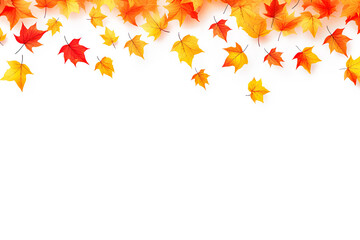 Autumn maple leaves falling on white background