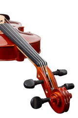 Violin orchestra musical instrument