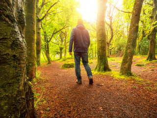 Fototapeta premium Man walking at a forest autumn park on a warm sunny day. Outdoor activity for relaxation and energizing mind and body. Active lifestyle. Beautiful nature background.