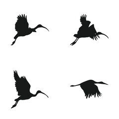 Collection of mix crane silhouette