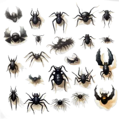 Fotobehang Spiders, Bats and Black Cats, Halloween, No Shadows, High Resolution on a white background © I Love Png