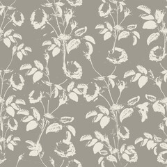 Beige Rose © Ewa