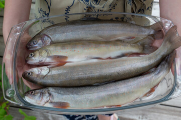 Four whole unseasoned kitchen ready arctic char in a glass oven dish. Close up in horizontal format.