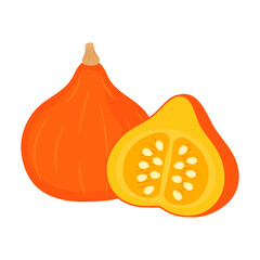 Red kuri squash whole vegetable and slice isolated on white background. Cucurbita maxima. Potimarron icon. Vector illustration of vegetables in flat style.