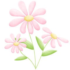 Pink Spring flowers and butterflies collection. Watercolor flower illustration. Pink flower illustration without background. 