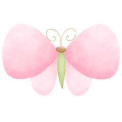 Pink Spring flowers and butterflies collection. Watercolor flower illustration. Pink flower illustration without background. 
