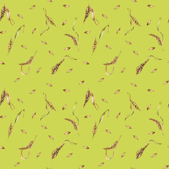 Fototapeta premium Wheat ear, barley watercolor seamless pattern on green background. Spikelet of rye, malt stalk hand drawn. Design element for textile, wrapping, packaging, label grocery, bakery, paper
