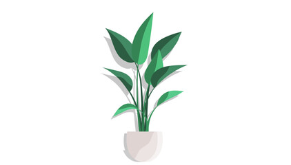 Fototapeta na wymiar House and home plant. Vector illustration. A houseplant can transform any room decoration gardening project When it comes to room decoration gardening, placement plants in decorative containers