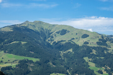 Bergpanoram mit viel Wald