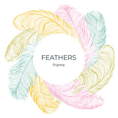 Fototapeta na wymiar Label, cover pattern with colored delicate ostrich feathers. 