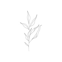Minimalist linear flower branch. Small ornamental floral element, tiny fine line botanical leaves, tattoo sketch. Vector art