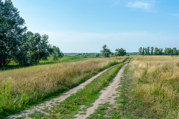 Road on the coutryside on sunny day in Poltava region. Summer ukrainian landscape.
