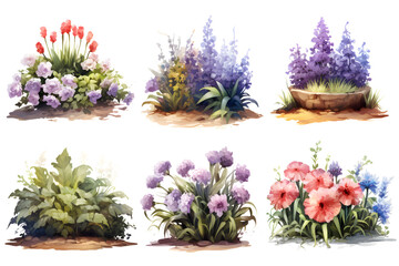 Flowerbeds colorful flowers gardening beauty illustrations various forms abundance.