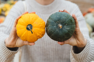 Different color pumpkins in woman's hands at farm market.