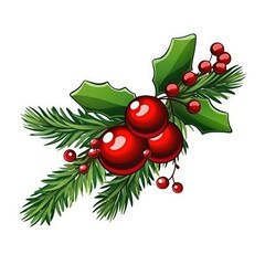 Green Christmas tree branch for decor on white background