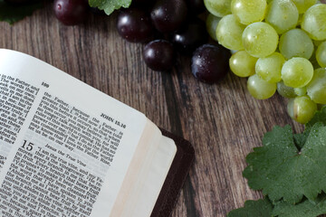 Jesus Christ is the true vine verse in open holy bible with fresh grapes and branches on wooden...