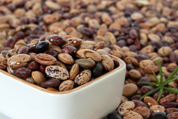 Various colorful dry kidney beans in a bowl. Close-up. Legumes as a protein plant-based food.