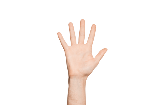 Open raised hand; palm to the camera isolated on transparent background. - Powered by Adobe