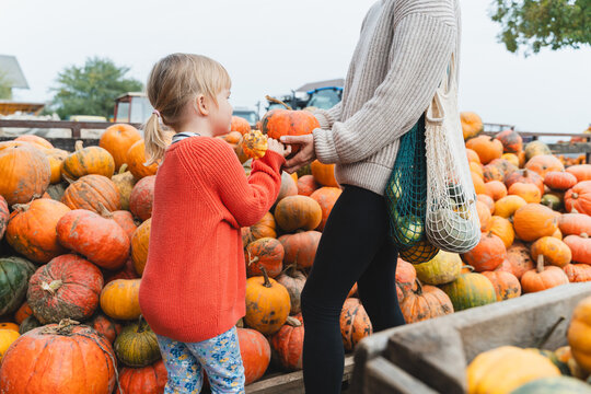 Mother and daughter choosing pumpkins at farm market at autumn season