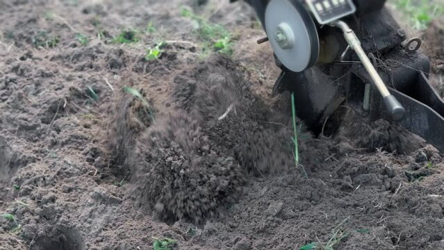 Powerful cultivator, Tiller. Gardening. Spring work on the farm. Land cultivation with a Motor ripper. Man plows the ground. Spring soil preparation for seeding. Husbandman, grower. Moto plow working	