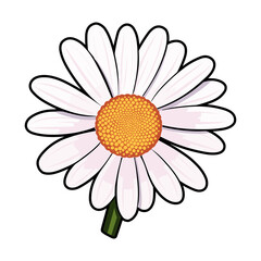 Daisy flower, isolated on transparent background, Generative Ai.