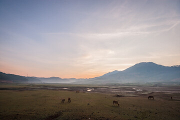 Dry river, Lang Biang mountain and beautiful scenery of Da Lat